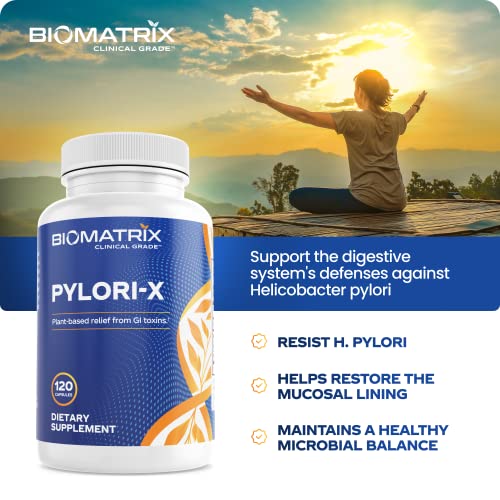 PyloriX for H. Pylori Defense Matula Tea Alternative w/Mastic Gum