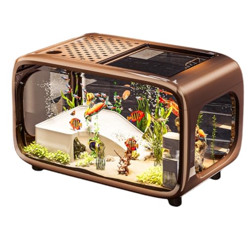 アクアテラリウム 水槽」の人気商品一覧 | 安い商品を通販サイトから