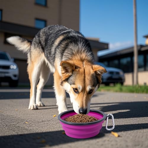Image of Dog Bowl Pet Collapsible Bowls, 2 Pack Collapsible Dog Water Bowls for Cats Dogs, Portable Pet Feeding Watering Dish for Walking Parking Traveling with 2 Carabiners (Pink+Purple, Medium)