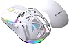 Claw's Nexus Air Wireless 10000 Dpi Pixart PMW3325 Sensor RGB Wireless Gaming Mouse with Macro Software & Interchangeable Cover - White