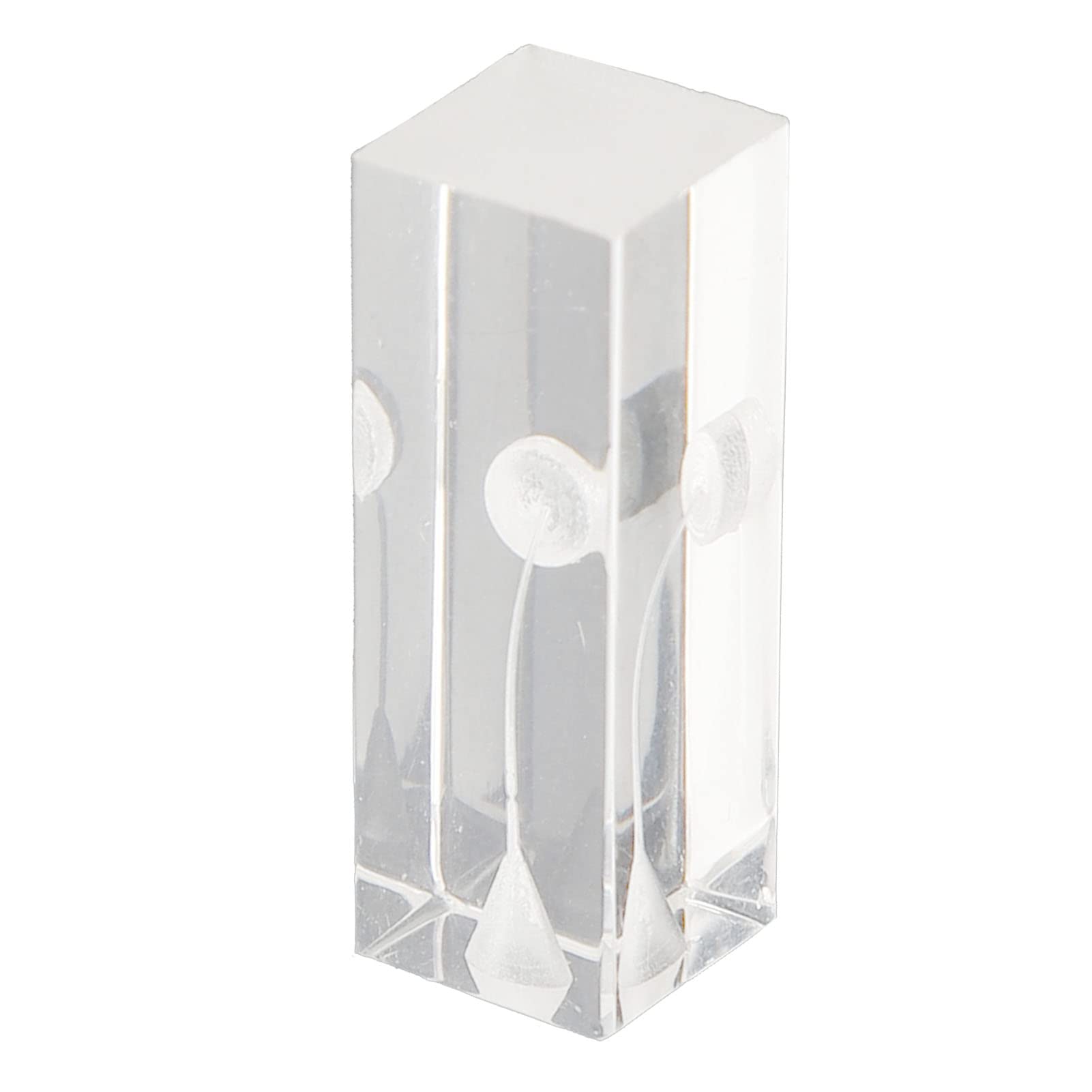 Canal Root Model, Canal Root Exercise Block Acrylic Transparent Clear Display Curved Oral Endodontic Root Model Canal Study Model, for Studying and Teaching