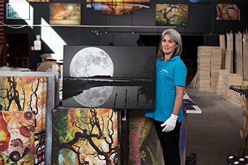 Startonight Quadro su Tela Bianco e Nero Riflesso