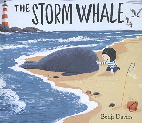Storm Whale