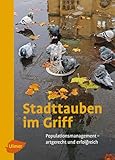 Stadttauben im Griff: Populationsmanagement – artgerecht und erfolgreich - Viktor Wiese 