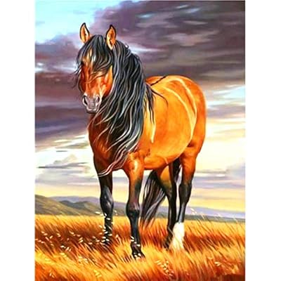 Dunyodagi eng uzun jinsiy olatni erkakning videosi