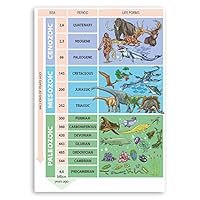 1 x A4 Geological Timeline Vinyl Stickers Planet Earth Biology Sticker #70611