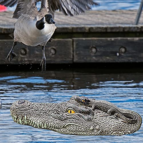 NYXUAN 20 "Alligator Head Decoy & Vijver Float, Realistische Drijvende Hoofd Alligator - Image 6