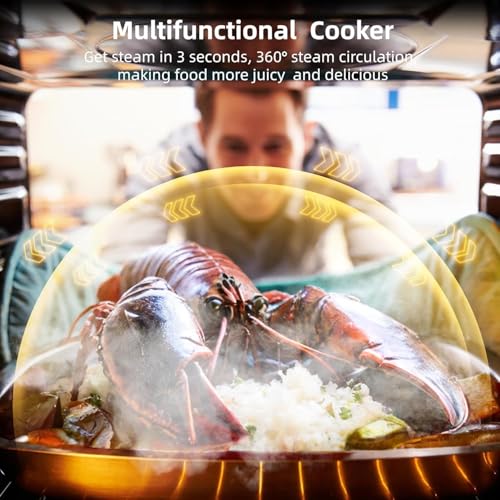 Single Wall Oven 24", 2.5 Cu.f (70L) Built-in Electric Oven with 108 Smart Menu & 8 Baking Modes Air Frying Function, Touch Control, Stainless Steel, Black