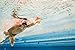 FINIS Freestyler Hand Paddles - Freestyle Swim Training Aid - Improves Stroke Technique - Adult - Yellow