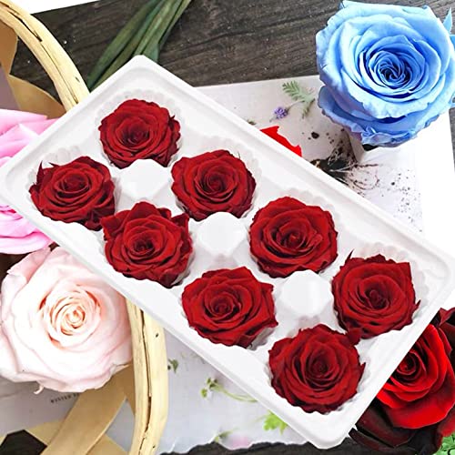 Csk Preserved Real Red Roses Eternal Roses 8 Pcs/1 Box, Forever Rose Never Withered Flower Gift for Her Girlfriend Mom on Anniversary Birthday