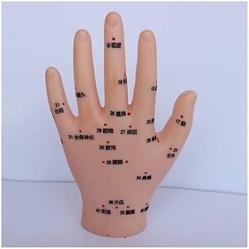 51XKqUGSyAL._UF350,350_QL80_.jpg