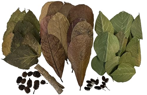 Image of Awesome Aquatic Shrimp Habitat Combo Kit, Natural Botanicals | Natural shrimp habitat kit with Catappa, Mulberry, Dadap, Alder, Casuarina, bark & Cholla wood for aquariums.