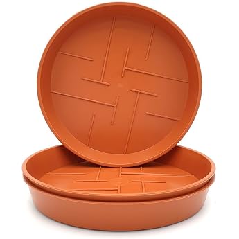 Plastard Set of 3 Flower Pot Saucers Diameter 16 cm Round Plastic