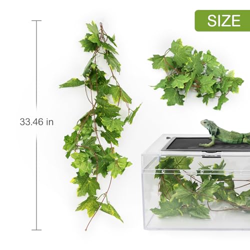 Kit démarrage terrarium reptile 24x49cm pour élevage de lézard et serpent - 6