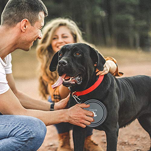Image of Rest-Eazzzy Collapsible Dog Bowls for Travel, 2-Pack Dog Portable Water Bowl for Dogs Cats Pet Foldable Feeding Watering Dish for Traveling Camping Walking with 2 Carabiners, BPA Free (Grey&Pink)