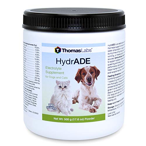 Top 10 Best Electrolyte For Cats in 2024 Reviews by Experts
