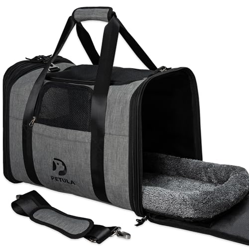 Petula Katzentasche & Hundetasche – Faltbare Transporttasche für Katzen & kleine Hunde bis 13 kg – Formstabil, mit Innenmatte, Belüftung, Tiertransporttasche, Transportbox (Grau)