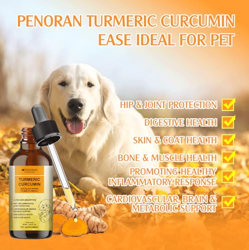 Kurkum- und Curcumin Tropfen für Hunde & ältere Hund & ArbeitsHunde: Gelenkbeweglichkeit und -flexibilität, Schmerzgenesung, Verdauung, Gehirn, Leber, Knochen, Muskeln, Haut, Fell – bessere Resorption