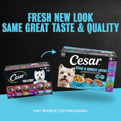 Image of Cesar Wet Dog Food, Steak & Chicken Lovers Variety Pack, 3.5 oz, 36 Count | Real beef or chicken #1 ingredient, no fillers or artificial flavors, slow-cooked, easy to digest, easy-peel trays