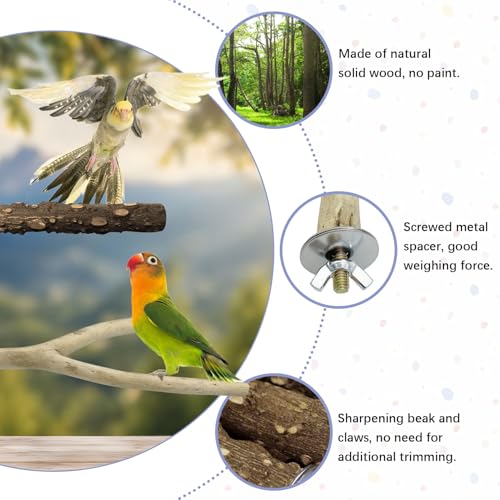 Image of PINVNBY 9 PCS Natural Wood Perches for Birds, Bird Perches for Cage, Wooden Perches Toys Accessories for Parakeet Cockatiel Parrotlets Budgie Conure Lovebirds