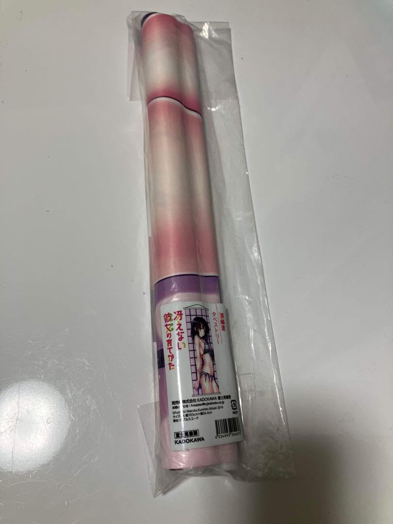 Amazon.co.jp: C87 富士見書房 深崎暮人 冴えない彼女の育てかた 加藤 