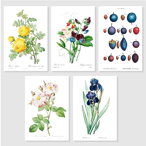 【美品】ファンミンヒョン マリーアントワネット ポストカード 51XLBIudVUL.jpg