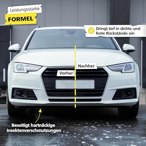 SPRINGER GX1000 - - Insektenentferner 750 ml - - Made in Germany - - Schonende Rezeptur - - Tiefenwirksame Formel - - Insekten-Reiniger für hartnäckige & angetrocknete Insektenreste