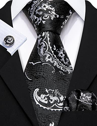 Image of Barry.Wang Men Tie Classic Silk Gift Necktie With Tie Clip Jacquard Woven Neck Ties 6PCS Formal Wedding