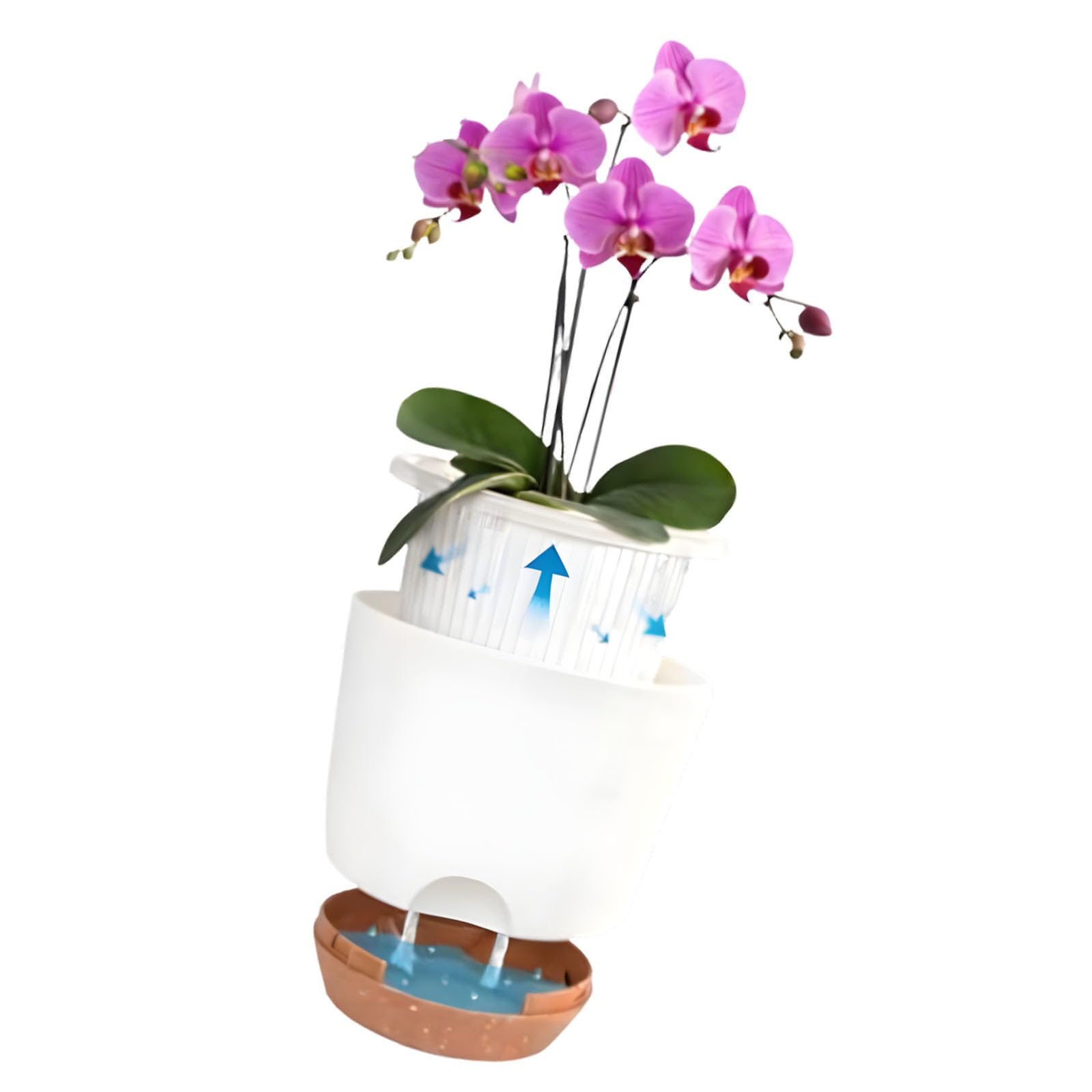 Kaeltsyn 2 Pack Clear Double Layer Flower Pots for Enhanced Ventilation and Root Health Drainage Flower Container