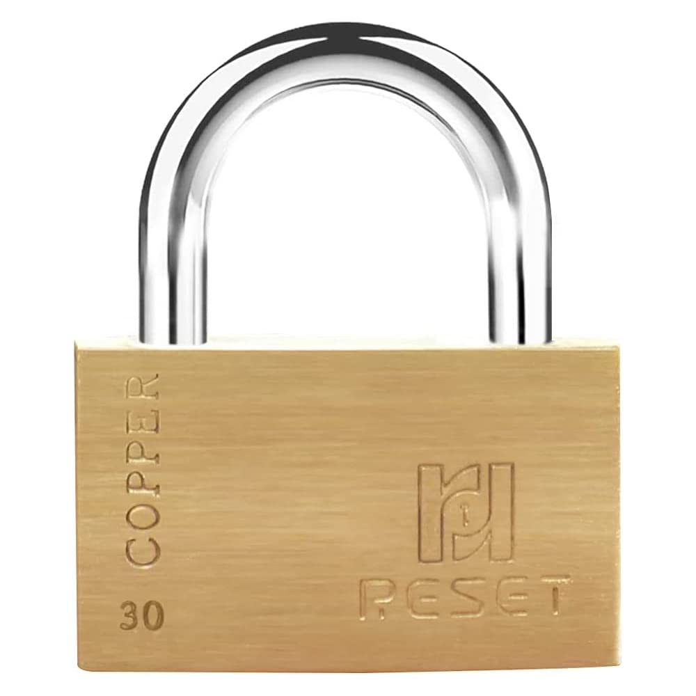 RESET290 Brass Small Keyed Different Padlock,30 mm Tiny Brass Padlock with Stainless Steel Shackle,3 Keys,Waterproof Rustproof,Locker Lock with Key,Brass