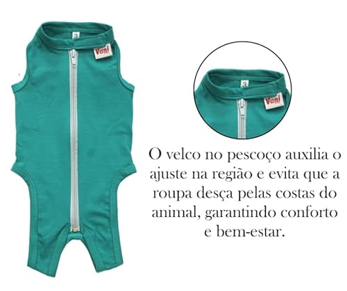 Roupa Cirúriga Pet Para Castração de Gato (Verde, 4)