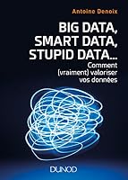 Big Data, Smart Data, Stupid Data... comment (vraiment) valoriser vos données: Comment (vraiment) valoriser vos données 2100773518 Book Cover