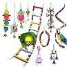 Vogelspeelgoed 10 Packs Bird Perch Toys and Parrot Stand Swing Cockatiel Speelgoed Accessoires Afrikaanse Grijze Parkiet…
