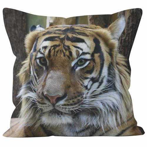 Nimvoya Linnen sierkussenhoezen, neutrale kussensloop, kleurstof, 40 x 40 cm, tijgerkussensloop, standaardmaat, kussensloop, camperbank, woonkamer, bank, decoratie, 1 stuk