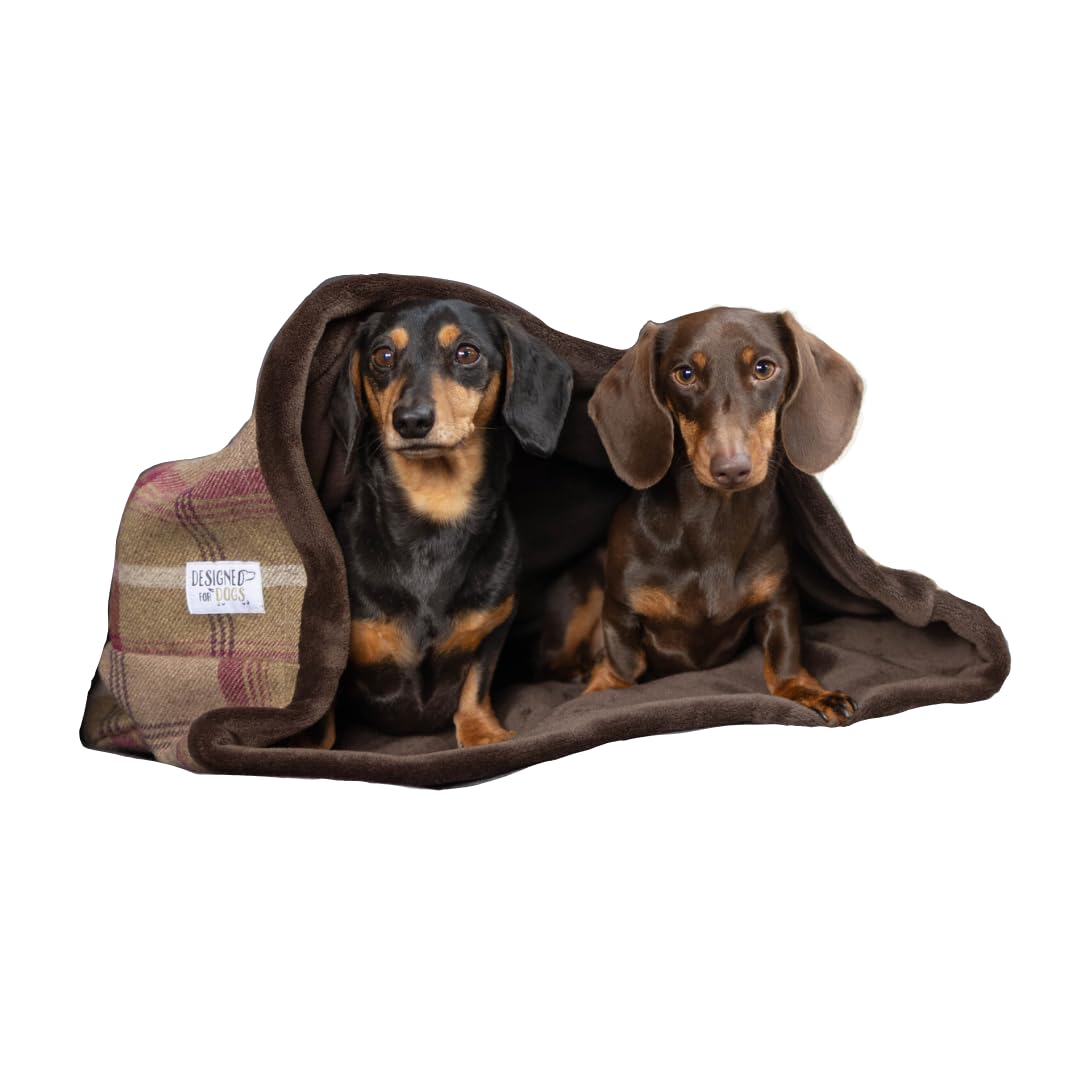 Snuggle Sack for Dogs, Puppy to Extra Large Dogs, Heather Tartan Plaid Design with Luxurious Soft Fur Fleece (XXS)