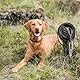 TRIXIE Schleppleine aus Leder Rustic Schleppleine Leder S – M, 10 m 8 mm in Dunkelbraun - Fettlederleine für Hunde im klassischen Design - für kleine bis große Hunde - 18970