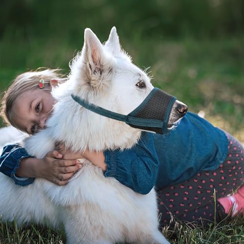HEELE Maulkorb Für Hunde, Verstellbare Schlaufe, Atmungsaktiv, Sicherer, Schneller Sitz Für Kleine, Mittelgroße Hunde, Verhindert Das Beißen, Kauen Und Bellen (L, Dunkelgrün)