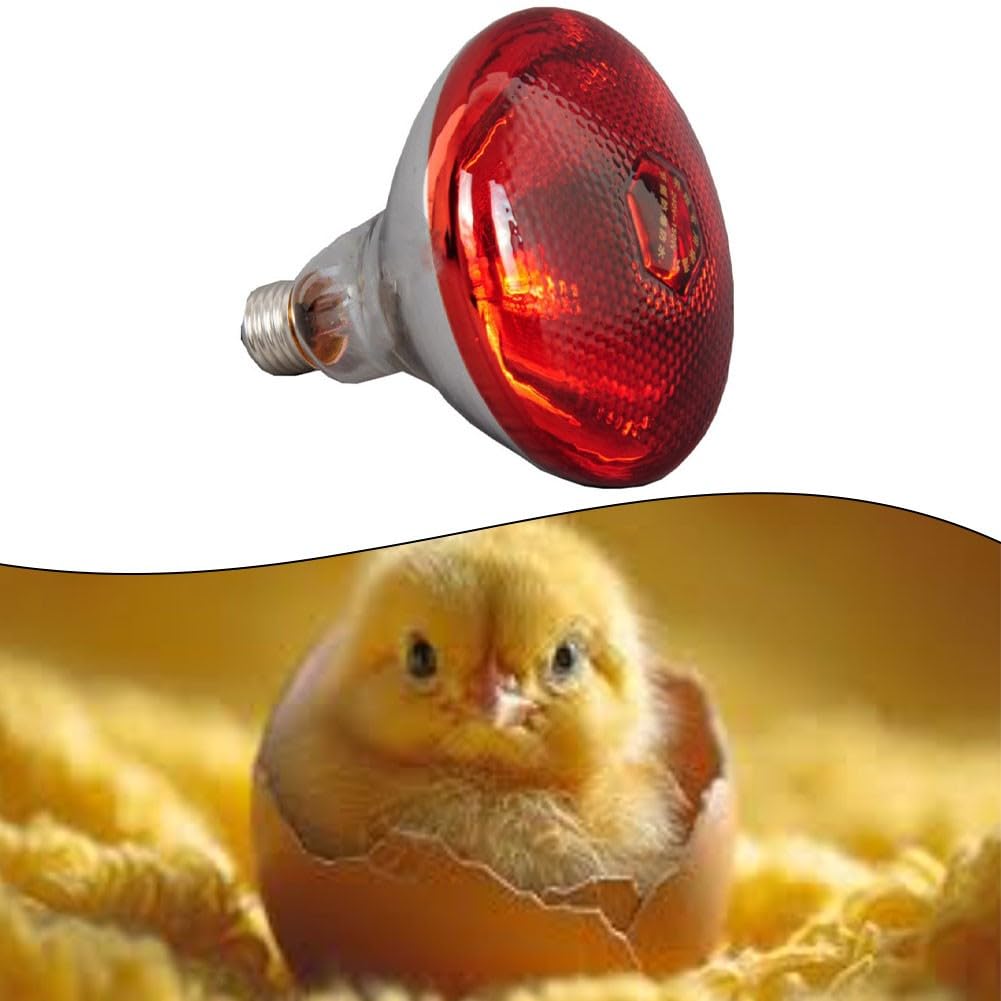 Red Infrared Heat Lamp,for Chickens,Brooders & Reptiles – 110V E27 Base Incandescent Bulb with Quartz Glass,5000-Hour Lifespan(Red Saffron 175W) — view 7