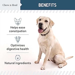 Digestive Enzymes with Probiotics for Dogs – 120 Soft Chews – Supports Healthy Digestive Tract, Helps Nutrient Absorption, Food Digestion, and Health Maintenance