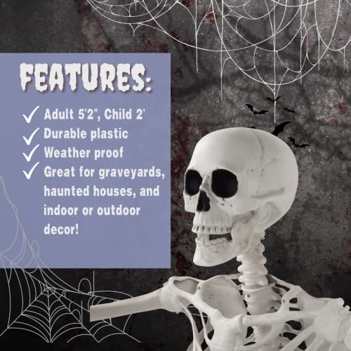 Posable Life Size Human Skeleton Family Set Of 4 -2 Adult (5' 2")& 2 Children (2')-Halloween Prop Indoor Outdoor Decorations W Bending Articulated Bones- Spooky Haunted House Party Favors Lawn Décor #TOP2