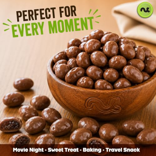 Image of NUT CRAVINGS - Chocolate Covered Raisins (32oz, 2 LB) Sweet Healthy Snack, Vegan, Kosher, Resealable Bag
