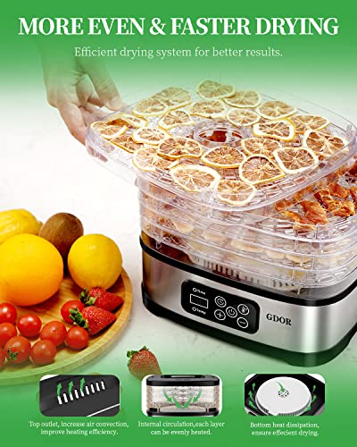 Gdor Food Dehydrator Includes Mesh Screen, Fruits Roll Sheet, Recipes, 5 Trays Dehydrator Machine With Temp Control & 72H Timer & Led Display, For Jerky, Fruit, Veggie, Herb, Dog Treat, Bpa-Free #TOP4
