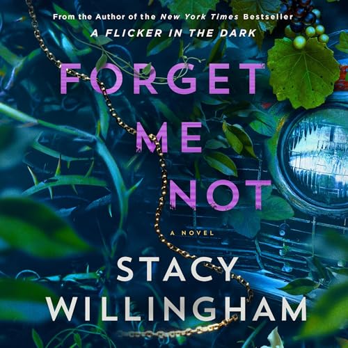 Audiobook: Forget Me Not by Stacy Willingham episode artwork