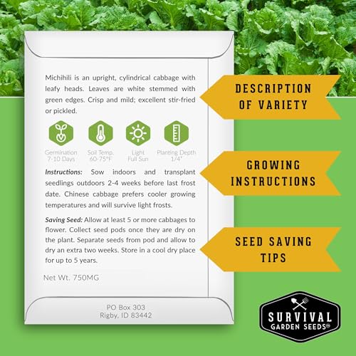 Napa Cabbage Seeds for Planting - Survival Garden Seeds (3 Packs) - Image 2