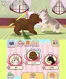 「かわいいペットとくらそう! わんニャン&アイドルアニマル」の関連画像