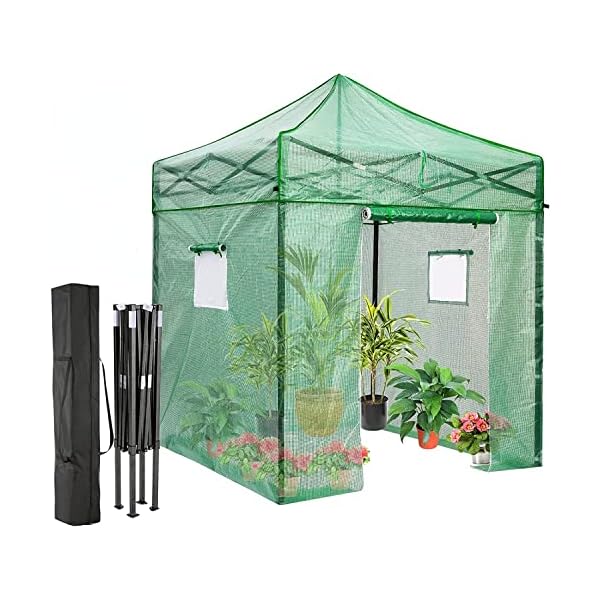 RLAIRN Pop Up Greenhouse for Outdoors Heavy Duty with Roll-Up Door and Screen Windows Walk in Green House for Plants with PE Cover Portable Greenhouses for Patio Backyard 6.6x6.6x9.5 FT