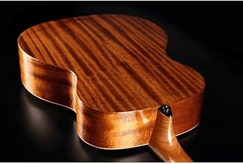 Amazon | LAG Guitars TRAMONTANE 88 T88A AUDITORIUM 【国内正規品