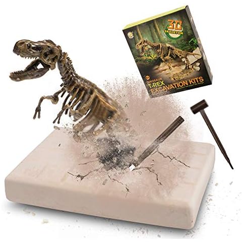 MUSCCCM Dinosaur Dig Kit Tyrannosaurus Rex, Dino Skeleton Fossil Excavation Kit Realistic Dinosaur Model Educational Toys Gift for Children Boys Girls Christmas/New Year's Gift Cover