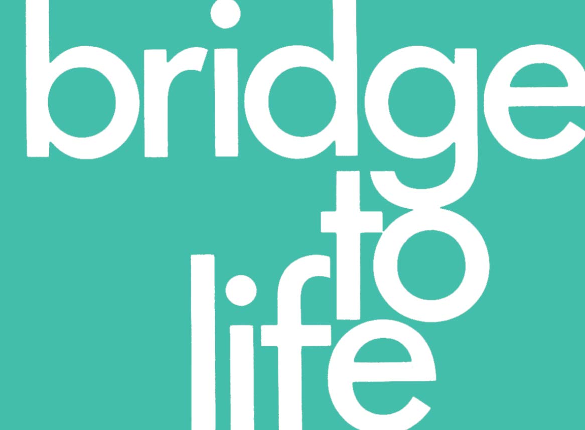 Bridge to Life (pack of 25): Green Color