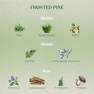 M&SENSE Christmas Holiday Candle - Frosted Pine Scent, 7.4oz Soy Wax, Ideal Winter Home Decor Gift for Women and Girls MSENSE Christmas Holiday Candle Frosted Pine Scent 74oz Soy Wax Ideal Winter Home Decor Gift for Women and Girls